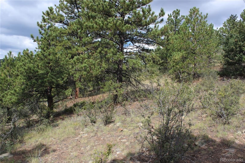 000 Golconda Mine Rd Lot 1020, Central City, CO 80427