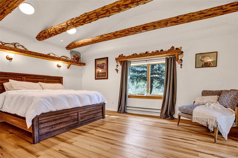 46 Singleton Rd, Alma, CO 80420