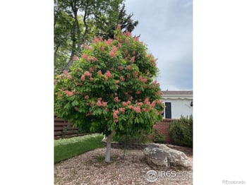 3255 20th St, Boulder, CO 80304