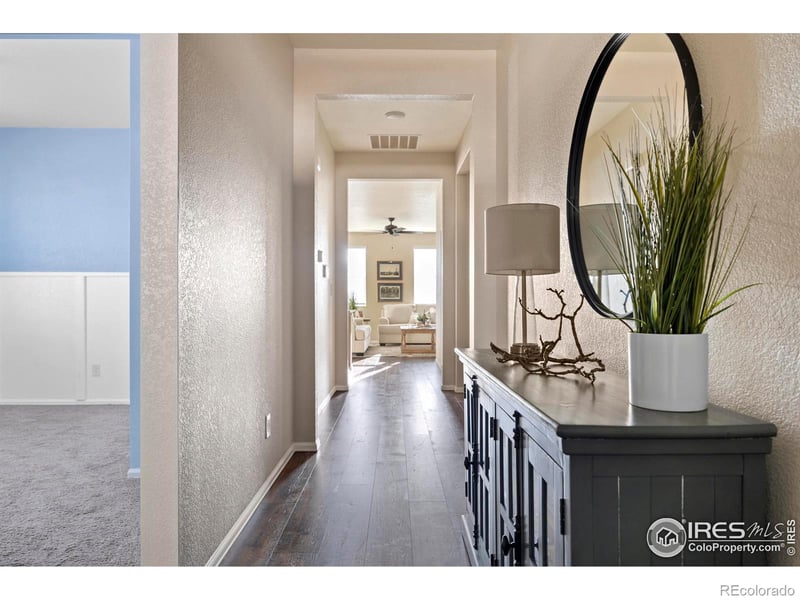 939 Keneally Ct, Windsor, CO 80550