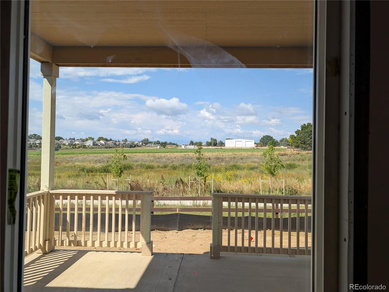 16923 Ballinger Cir, Mead, CO 80542