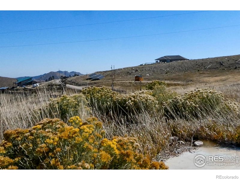 59 Bobcat Mountain Ct, Livermore, CO 80536