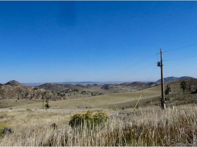 59 Bobcat Mountain Ct, Livermore, CO 80536