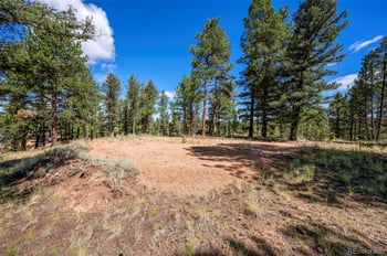 210 Donzi Trl, Florissant, CO 80816