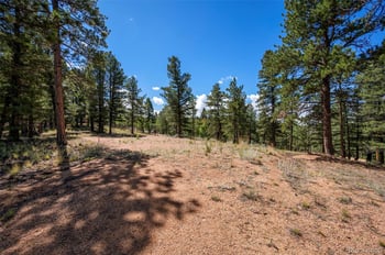 210 Donzi Trl, Florissant, CO 80816