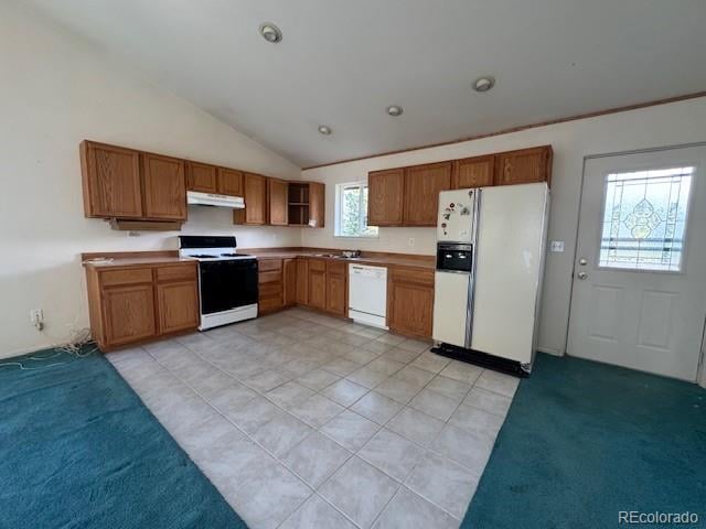 523 Spruce Lake Dr, Divide, CO 80814