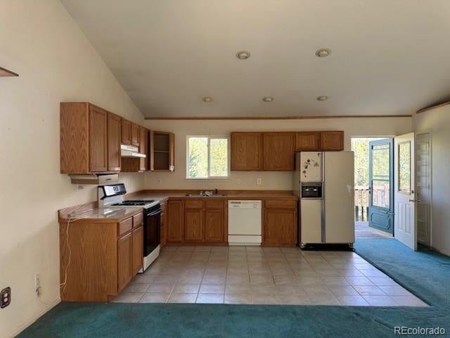 523 Spruce Lake Dr, Divide, CO 80814