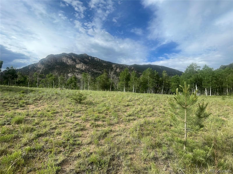 171 Emerald Way, Lake George, CO 80827