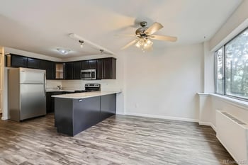 909 Logan St #4A, Denver, CO 80203