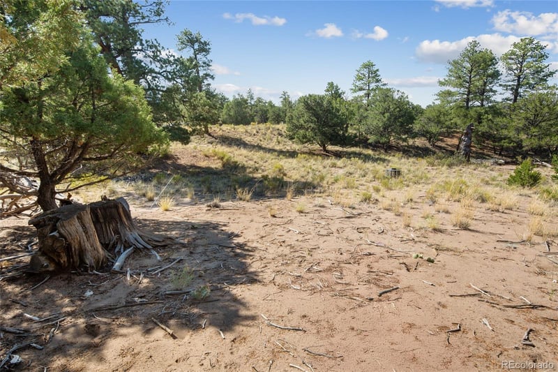 961 Ridgeview Way, Crestone, CO 81131