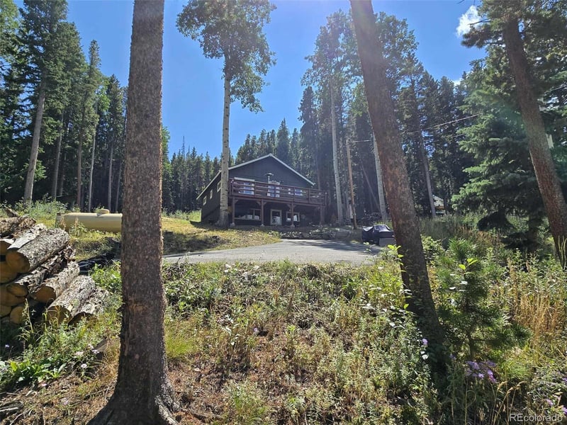 98 Martin Dr, Evergreen, CO 80439