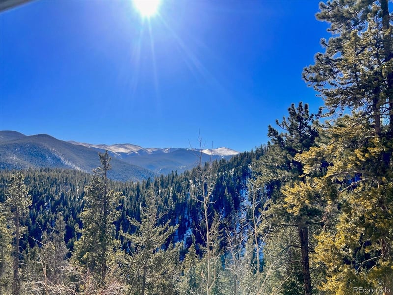 000 Ute Creek Rd, Idaho Springs, CO 80452