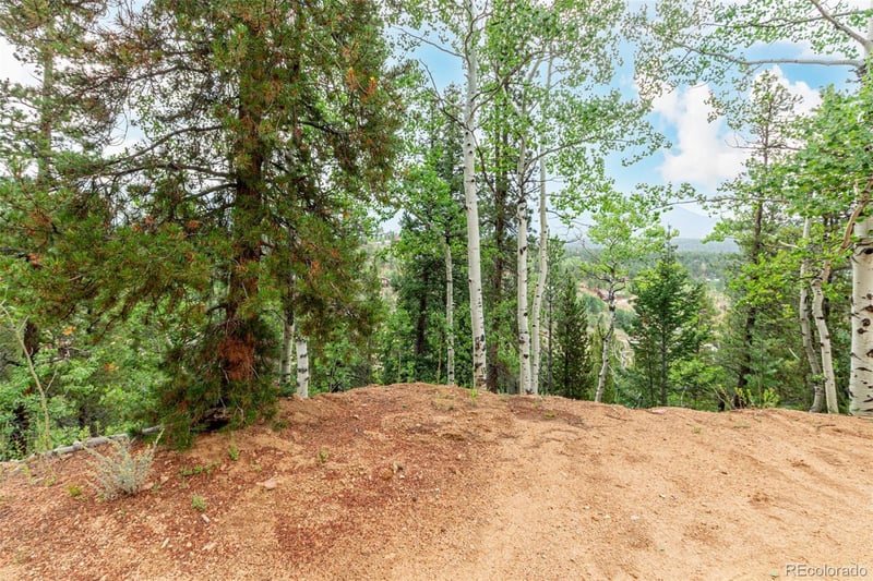 427 Wise Rd Lot 01A, 35A, 01, 02, Bailey, CO 80421