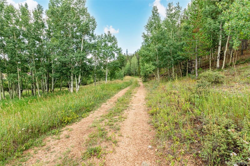 427 Wise Rd Lot 01A, 35A, 01, 02, Bailey, CO 80421