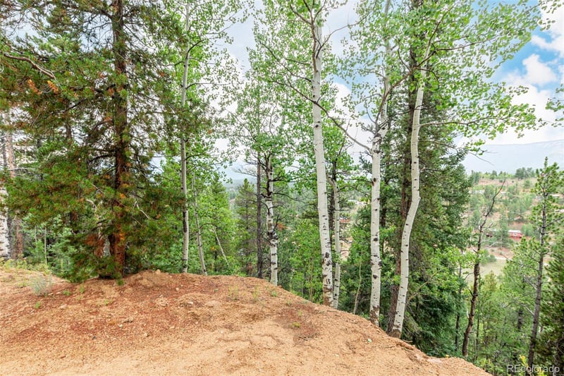 427 Wise Rd Lot 01A, 35A, 01, 02, Bailey, CO 80421
