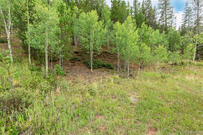 427 Wise Rd Lot 01A, 35A, 01, 02, Bailey, CO 80421