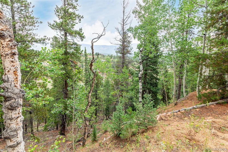 427 Wise Rd Lot 01A, 35A, 01, 02, Bailey, CO 80421