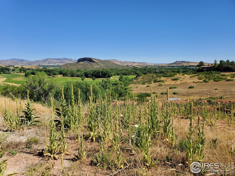 4516 Bingham Hill Rd, Fort Collins, CO 80521