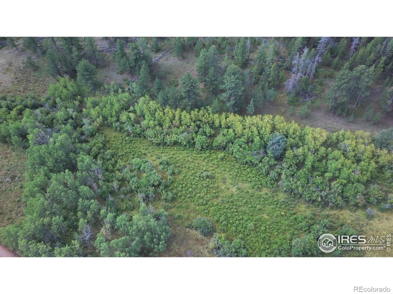 County Road 80c, Livermore, CO 80536