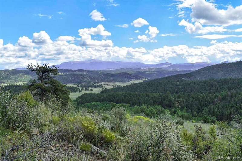 231 Deer Ln, Guffey, CO 80820