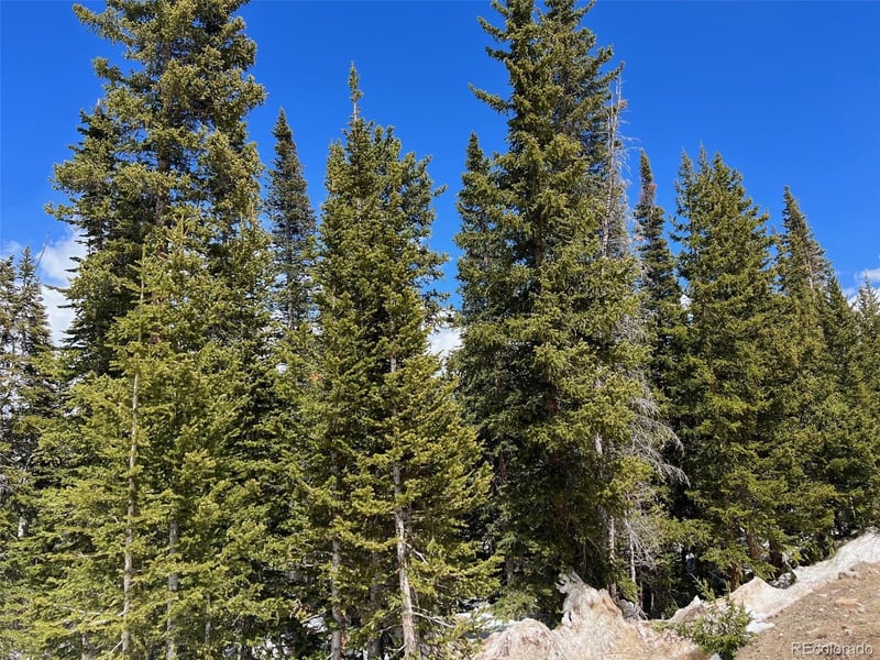 134 El Lobo Ln, Fairplay, CO 80440