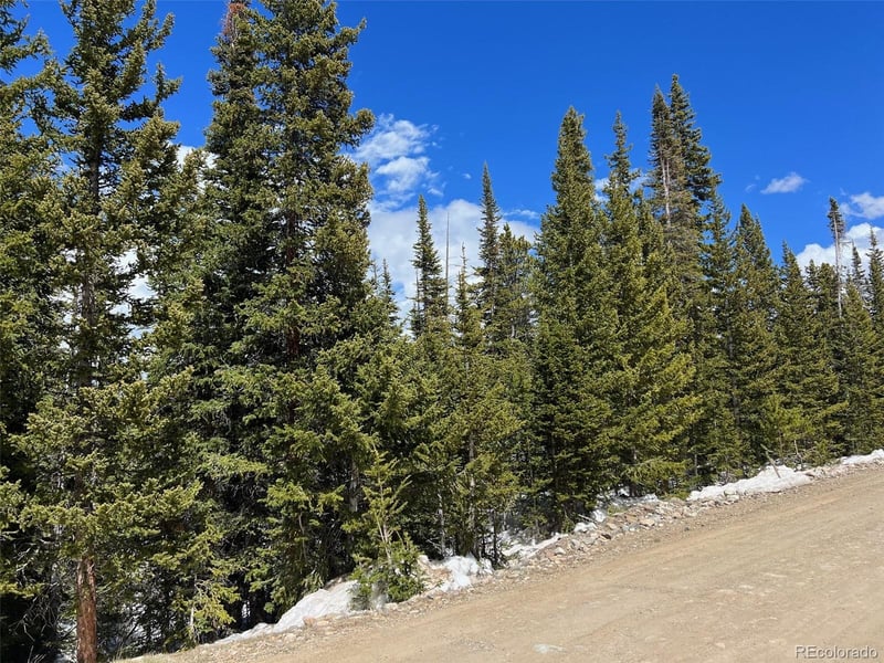 134 El Lobo Ln, Fairplay, CO 80440