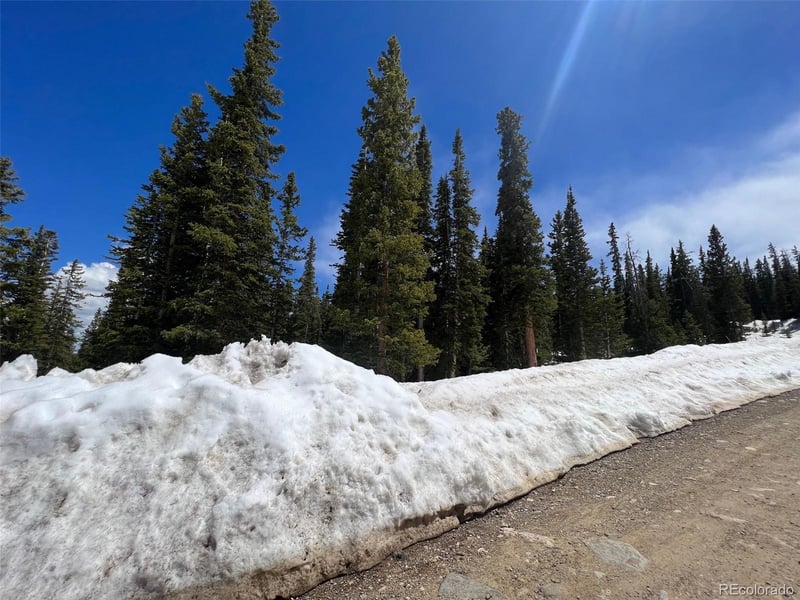 134 El Lobo Ln, Fairplay, CO 80440