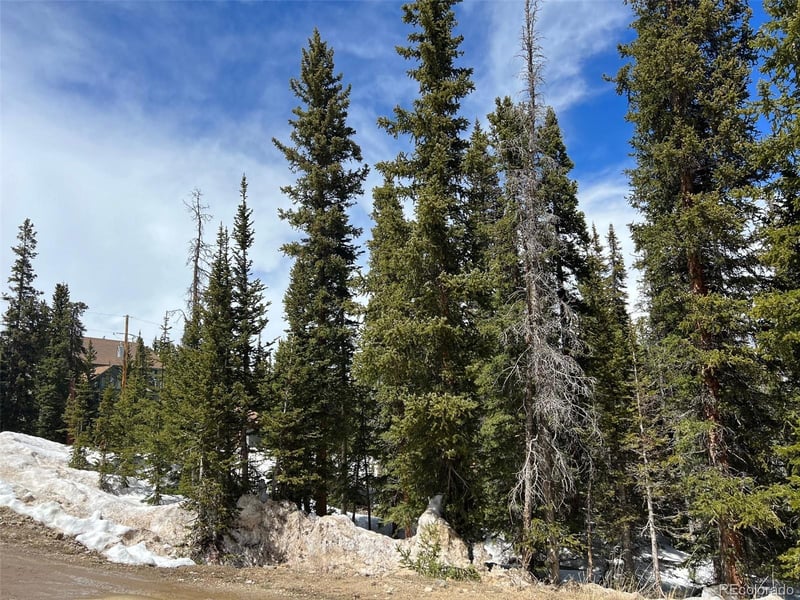 134 El Lobo Ln, Fairplay, CO 80440