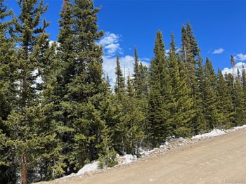 134 El Lobo Ln, Fairplay, CO 80440
