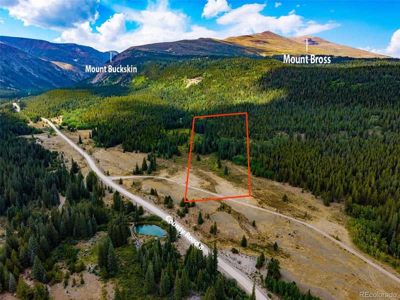 1421 Buckskin Rd, Alma, CO 80420