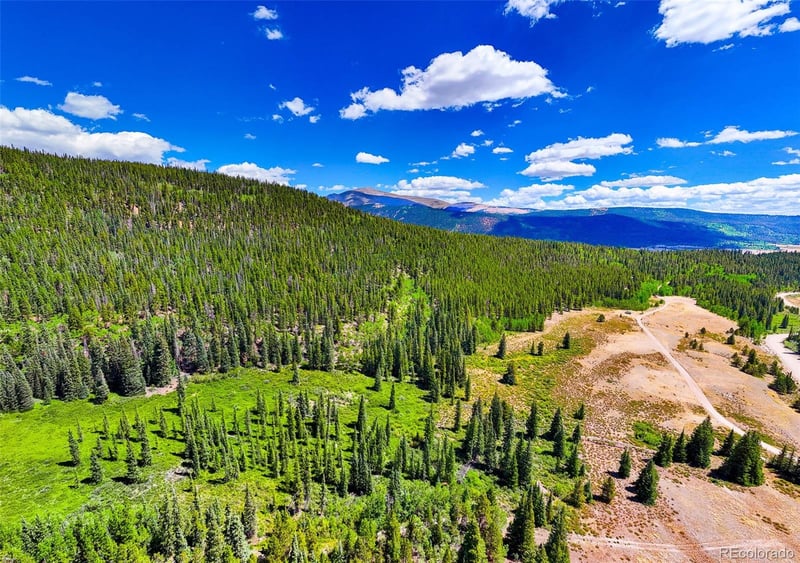 1421 Buckskin Rd, Alma, CO 80420