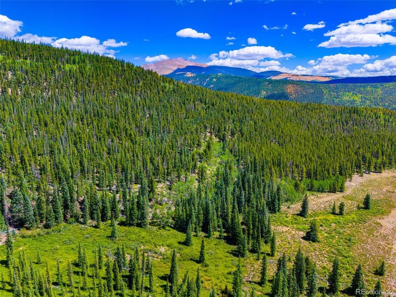 1421 Buckskin Rd, Alma, CO 80420