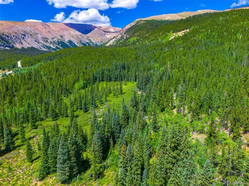 1421 Buckskin Rd, Alma, CO 80420