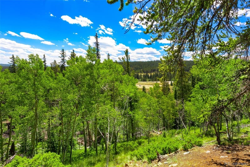 1421 Buckskin Rd, Alma, CO 80420
