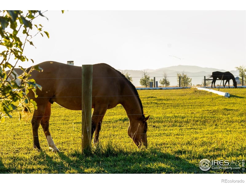 7755 Valleyview Cir, Windsor, CO 80550