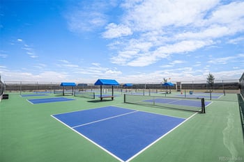 14341 Beebalm Loop, Parker, CO 80134