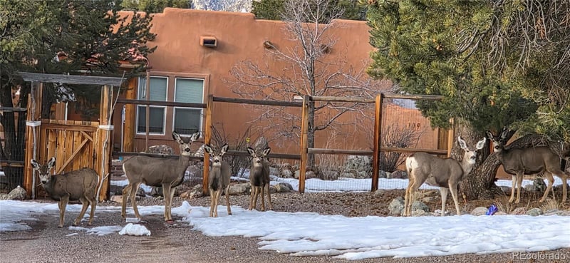 109 Pinewood Overlook, Crestone, CO 81131