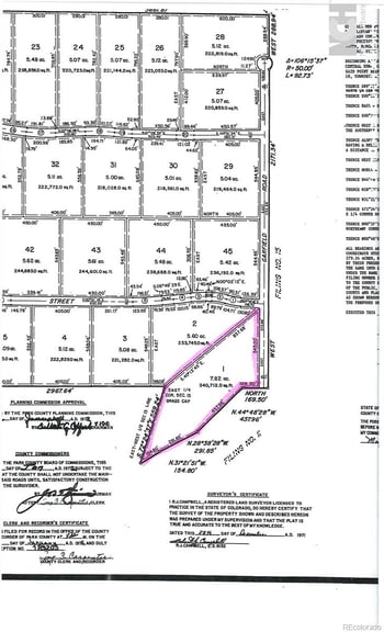 5700 San Juan St, Lake George, CO 80827