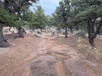 7863 Platten Rd, Fort Garland, CO 81133