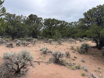 7863 Platten Rd, Fort Garland, CO 81133