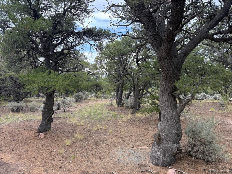 7863 Platten Rd Lot 7863, Fort Garland, CO 81133