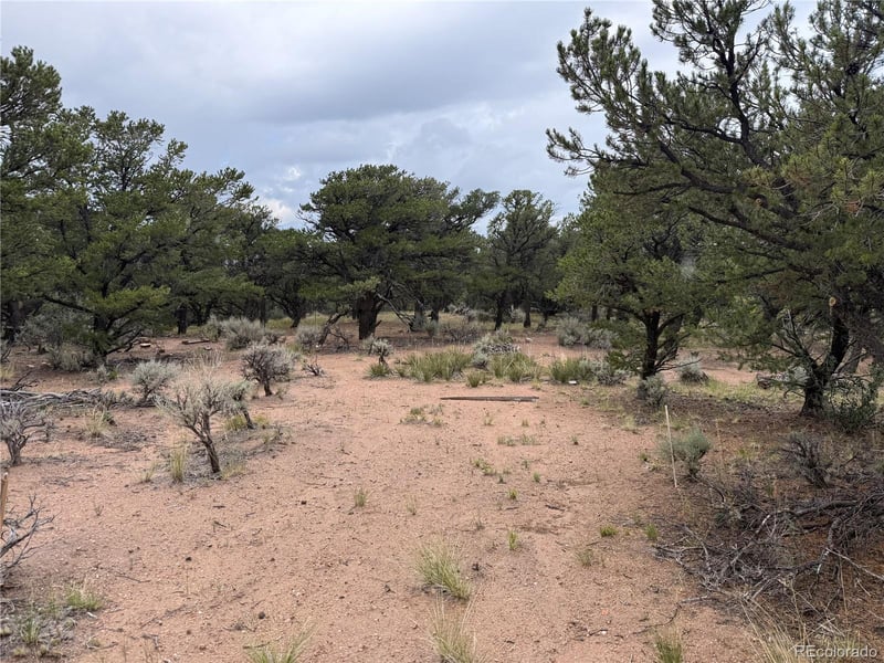 7863 Platten Rd Lot 7863, Fort Garland, CO 81133