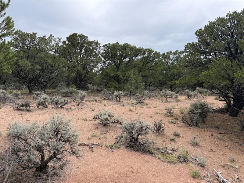 7863 Platten Rd Lot 7863, Fort Garland, CO 81133