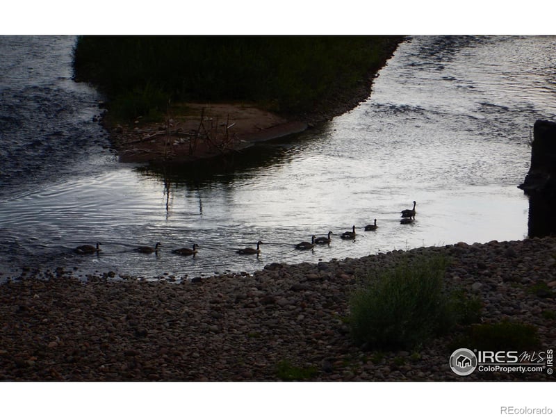 Cr 15 , South Fork, CO 81154