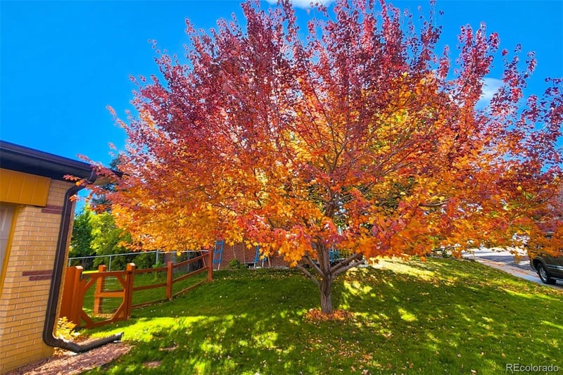 3548 Davies Ave, Centennial, CO 80122