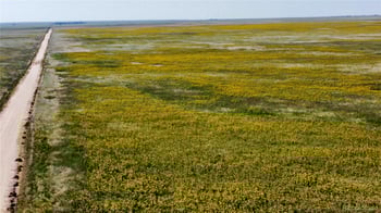 County Road 22, Matheson, CO 80830