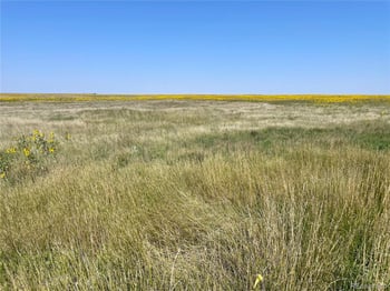 County Road 22, Matheson, CO 80830