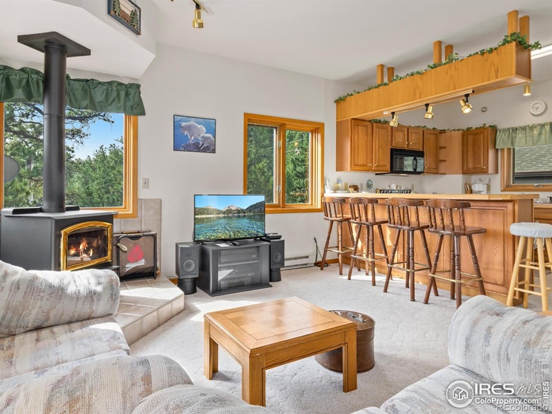 173 Snow Top Dr, Drake, CO 80515
