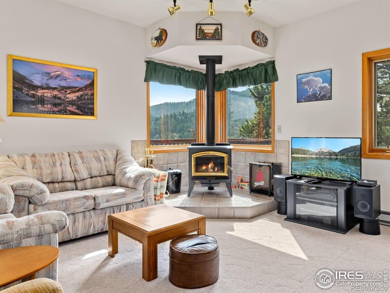 173 Snow Top Dr, Drake, CO 80515