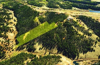 977 Cr 61 , Divide, CO 80814